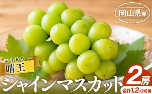 シャインマスカット 2025年  晴王 2房 合計1.2kg前後  | フルーツ 果物 くだもの ぶどう ブドウ シャインマスカット 晴王 国産 岡山県産 食品 人気 おすすめ 送料無料 ギフト 贈り物 贈答品 プレゼント 果物 くだもの フルーツ ぶどう ブドウ シャインマスカット 晴王