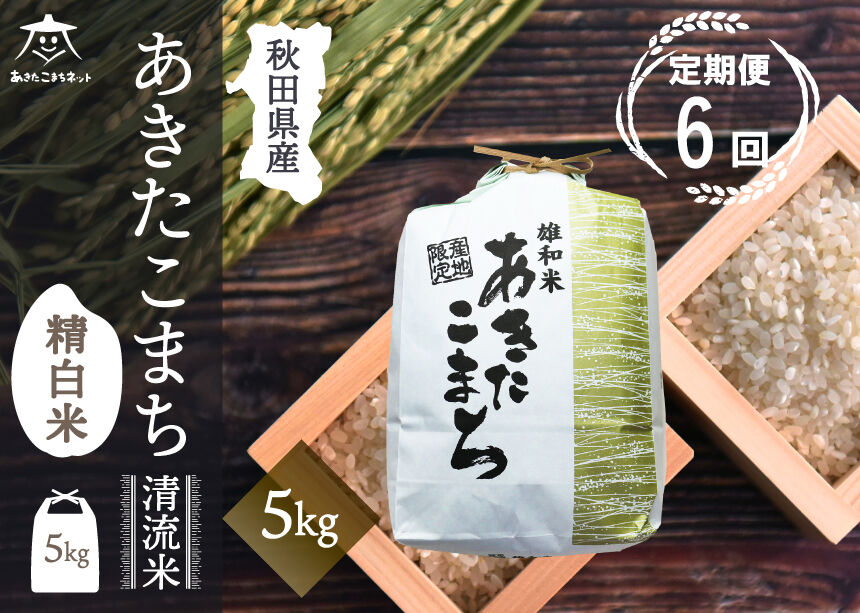 《定期便6ヶ月》あきたこまち 清流米 5kg【白米】 秋田市雄和産 [秋田県産 あきたこまち お米 精米 定期便 5kg 5キロ]