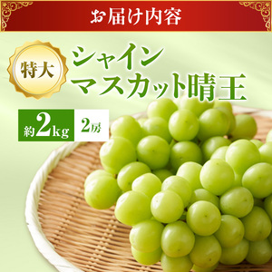 【2026年先行受付】 シャインマスカット 晴王 秀品 特大 約2kg 2房 岡山県産 ぶどう 葡萄 ブドウ ギフト 御礼 プレゼント 御礼 御祝 御供 果物 くだもの フルーツ