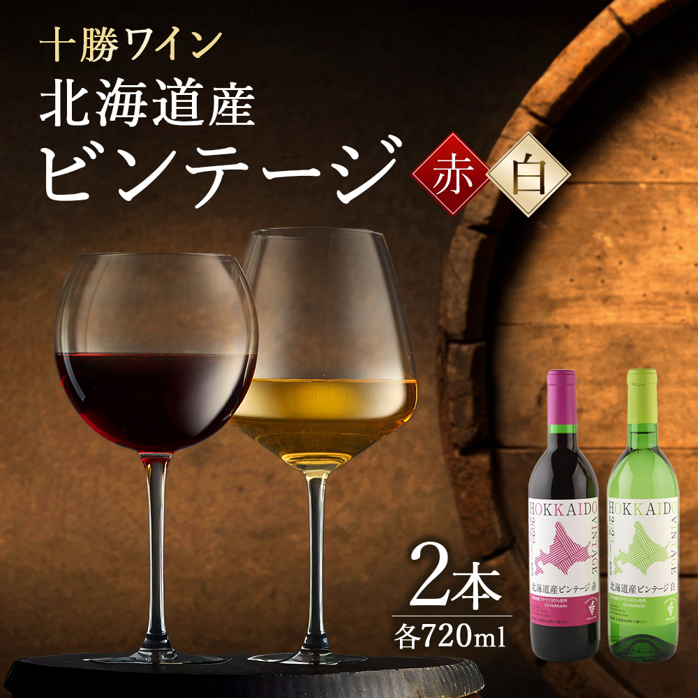 十勝ワイン 北海道産ビンテージ2本セット(（赤・白） ヴィンテージ 国産ワイン 北海道ワイン 赤ワイン 白ワイン セット 北海道池田町
