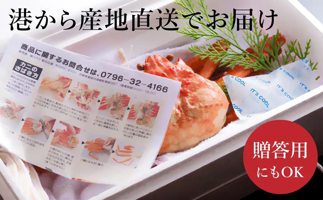 松葉ガニ 釜茹で タグ付き 約700g【湯楽使用】