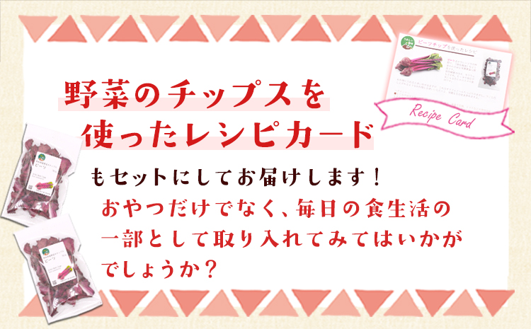 手軽に菊芋チップセット レシピ付き チップ【ビーツ&ビーツ】《30日以内に出荷予定(土日祝除く)》熊本県 大津町 菊芋 FSSC22000取得 ビーツ 株式会社阿蘇自然の恵み総本舗