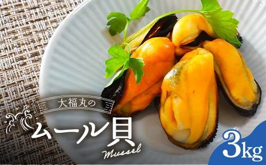 大福丸のムール貝 3kg【三陸山田産】【配送日指定不可】【沖縄・離島配送不可】三陸山田 山田町 山田湾 海産品 しゅうり貝 海鮮 シーフード おつまみ 殻付き 酒蒸し パスタ パエリア ワイン蒸し YD-762