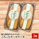 【ふるさと納税】ごろっとチーズケーキ 2個　【 お菓子 焼き菓子 スイーツ 洋菓子 おやつ ティータイム 濃厚な味わい 】　お届け：2023年11月1日～2024年4月15日