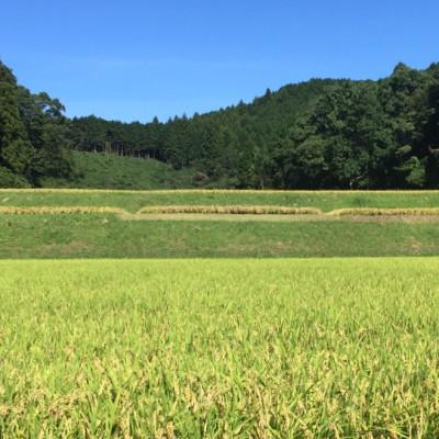 ふるさと納税 大和高田市 【令和7年産】奈良県産 ひとめぼれ 精米 5kg |  | 02