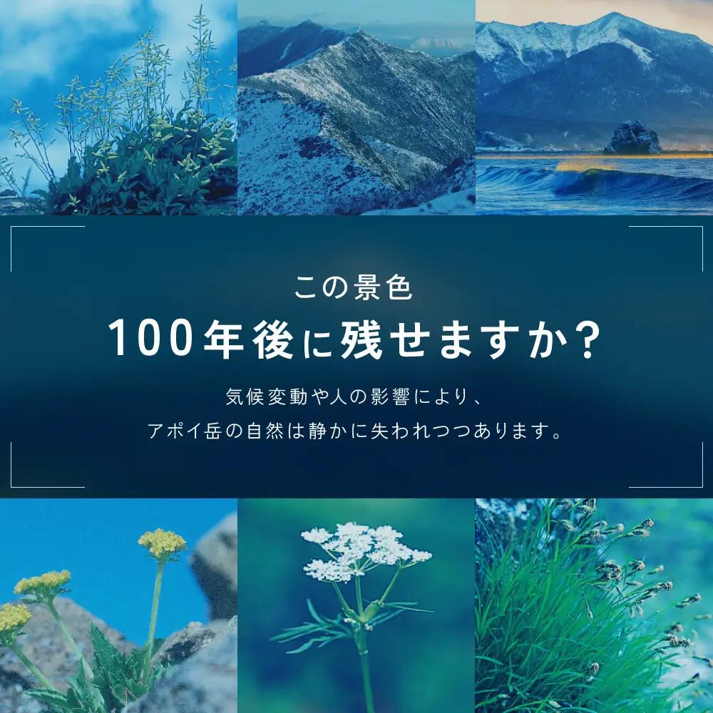 【返礼品なし】アポイ岳ファンクラブ自然保全活動応援　500,000円