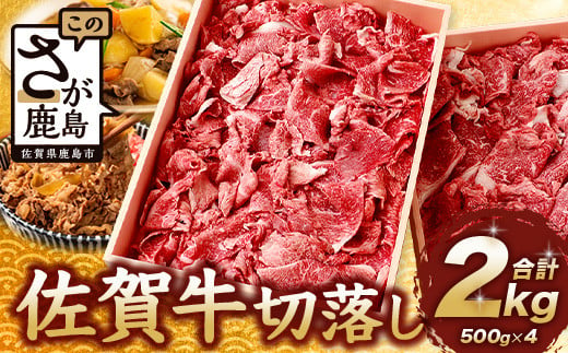 
【配送月が選べる】佐賀牛 切り落とし 500g×4【合計2kg】牛肉 肉 佐賀牛 切り落し 切落し 切りおとし E-122
