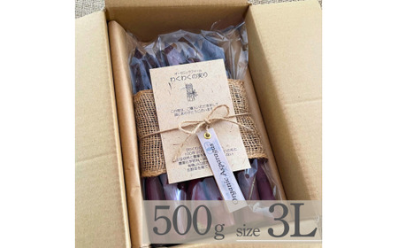 【先行予約】オーガニック パープルアスパラガス  3L 500g アスパラガス