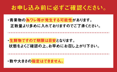 【やさしい甘さと程よい酸味】人気のドトマト1号 2kg（1kg×2箱） / トマト とまと サラダ 野菜 / 佐賀県 / 永尾産ち[41AAAC001]