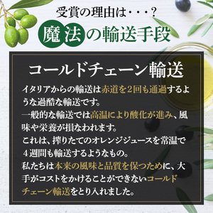 No.005-C ＜スペイン産＆ガーリックオイル＞オリーブオイルセット(180g×2本) 日置市 特産品 調味料 油 エキストラバージン オリーブオイルセット オリーブ セット エキストラバージン ガ