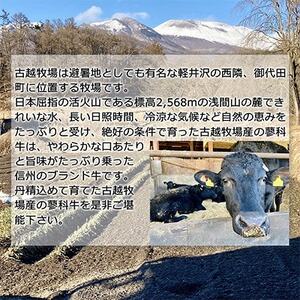 【毎月定期便】【牛肉生ハンバーグ】信州蓼科牛 900g(150g×6枚) 御代田町古越牧場産全6回【配送不可地域：離島】【4078077】