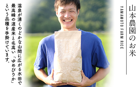 【先行予約】 【定期便】 つむぎ米 10kg【北海道産ゆめぴりか】令和6年産 全3回 《山本農園》 森町 こめ 精米 お米 米 白米 ゆめぴりか 北海道米 北海道産 北海道 mr1-0627