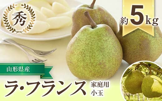 
            【令和8年産先行予約】 〈家庭用〉 小玉 ラ・フランス 約5kg (20～28玉 秀) 《令和8年10月下旬～11月下旬発送》 『フードシステムズ』 ラフランス 西洋梨 洋なし 果物 フルーツ デザート 山形県 南陽市 [1391-R8]
          