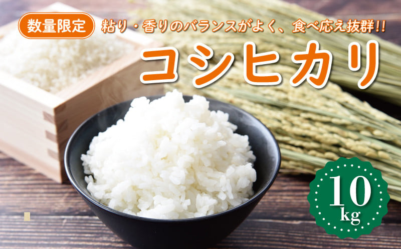 
            先行予約 新米 令和7年産 コシヒカリ 10kg 18000円 お米 白米 精米 低温 貯蔵庫 産地直送 国産 農家直送 期間限定 数量限定 特産品 先行 事前 予約 受付 令和7年度産 2025年産 もっちり 粘り 甘み おいしい おにぎり こしひかり 内祝い お祝い 贈答品 お返し プレゼント 土産 御礼 お礼 お取り寄せ 愛南町 愛媛県 マルハラファーム
          