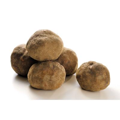 ふるさと納税 能美市 能美市特産　加賀丸いも　2kg