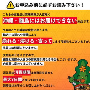 北海道 利尻 島産「朝どり」生うに塩水パック80g×5パック（キタムラサキウニ）［2024年6月発送開始先行受付] ウニ 塩水ウニ