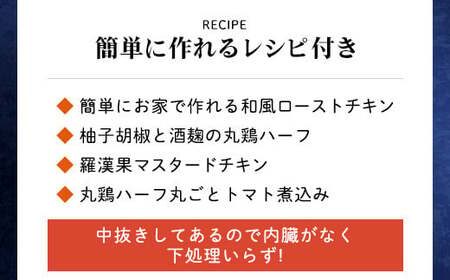 特別な日におすすめ！【京都府産 京丹波あじわいどり】丸鶏の半身 調理しやすい半身サイズ 約1kg レシピ付き FCBK002