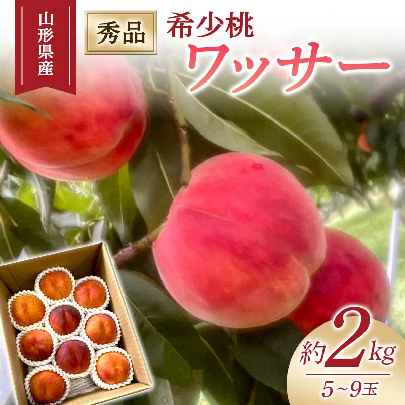 【ふるさと納税】 【2026年度先行予約】希少桃 ワッサー 2kg 5玉～9玉 FSY-1026
