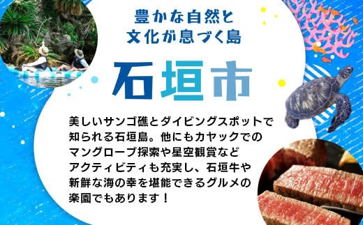 HISの沖縄県石垣市の対象商品に使えるふるさと納税クーポン券15,000円分【 沖縄県石垣市 石垣市 石垣島 ツアー HIS クーポン 券 15000 】HIS-3