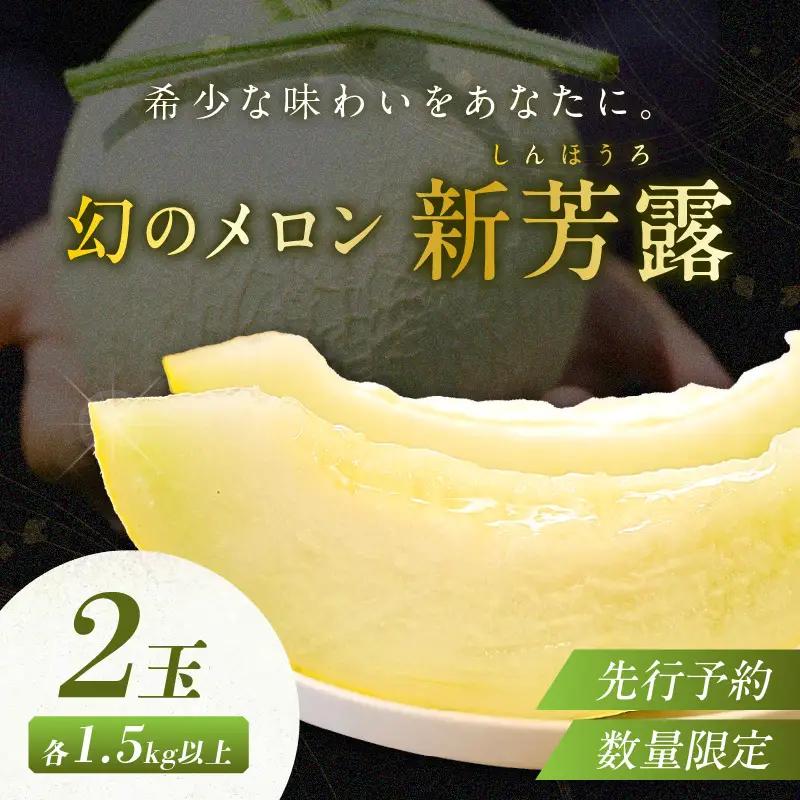 【数量限定 先行予約 幻のメロン】新芳露 2玉 シンホウロメロン