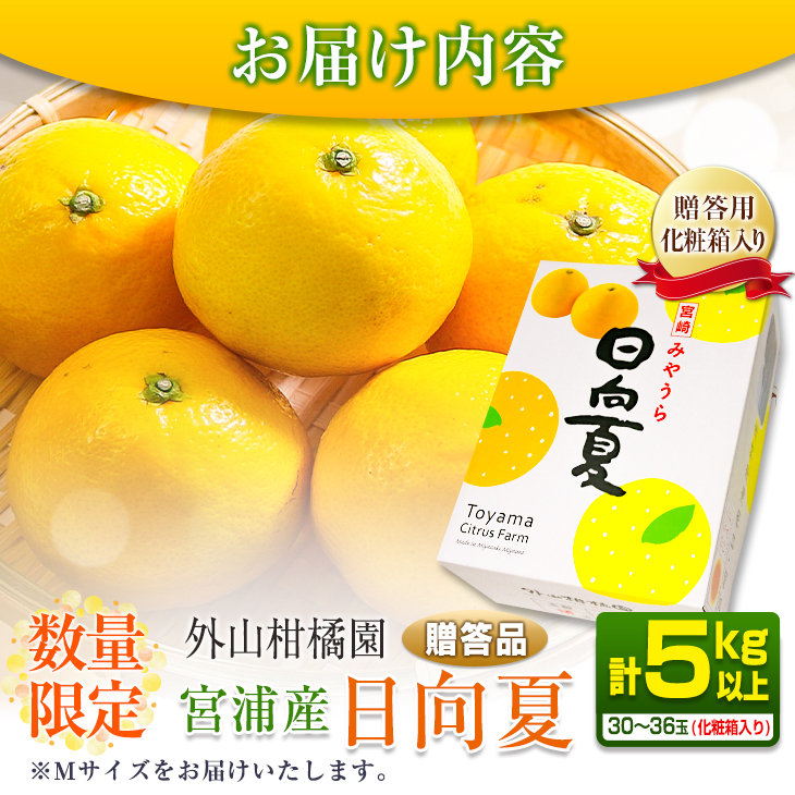 先行予約 宮浦産 日向夏 計5kg以上 化粧箱入り 期間限定 数量限定 フルーツ 果物 くだもの 柑橘 みかん 令和8年発送 国産 産地直送 新鮮 食品 ジュース デザート_BB165-25 _イメー