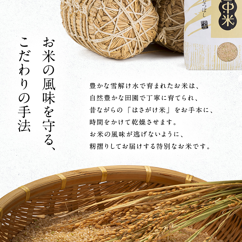 令和7年産 特Aランク米 ななつぼし 精米 10kg（5kg×2袋）【5月発送】 雪冷気 籾貯蔵 雪中米 北海道 nr-1441