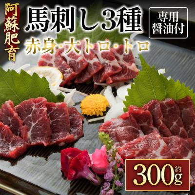 ふるさと納税 阿蘇市 【阿蘇牧場】阿蘇馬 馬刺し3種霜降り入(赤身・大トロ・トロ)300g(専用醤油付き)(阿蘇市)