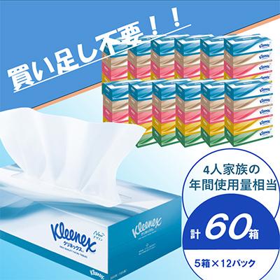 ふるさと納税 開成町 クリネックスティシュー　60箱(5箱×12パック)　ティッシュ |  | 01