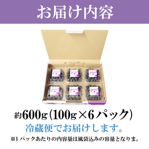 【まもなく発送開始】 生ブルーベリー 大粒 600g (100g×6パック)  採れたて 産地直送 新鮮 人気 果物 おすすめ フルーツ 四国 徳島 小松島 【送料無料】|  ﾌﾞﾙｰﾍﾞﾘｰ ﾌﾞﾙ