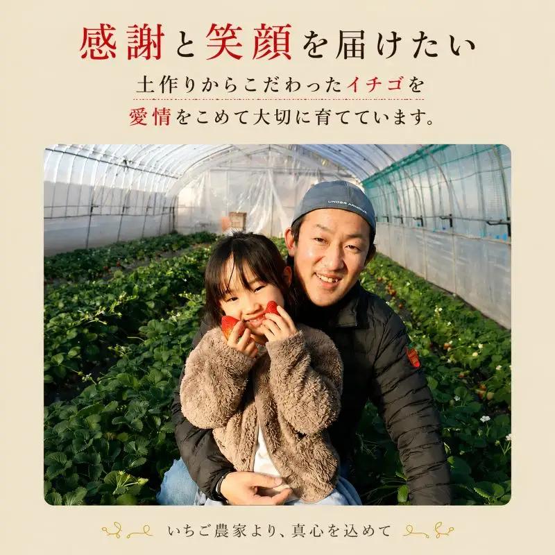 朝獲れ新鮮 特大とちあいか600g｜いちご イチゴ 苺 フルーツ 果物 産地直送 とちあいか 矢板市産 栃木県産 関農園