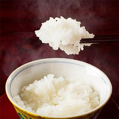 ふるさと納税 南魚沼市 【令和6年産】南魚沼産こしひかり(玄米)【5kg】 |  | 01