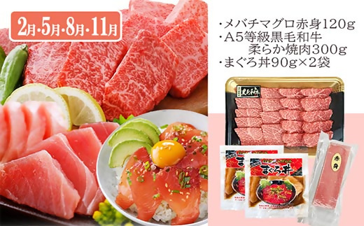 定期便3回配送　お楽しみ定期便(鹿児島県産お肉とかつお・まぐろ) EE-6015【1491146】 _ 定期便 黒毛和牛 鰹 カツオのたたき 黒豚 肉 人気 おすすめ 送料無料 贈答 ギフト 鹿児島県