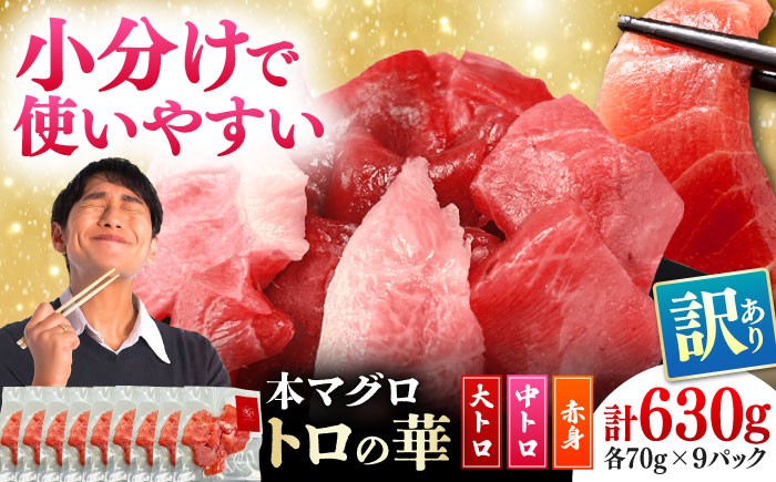 
            訳あり！対馬産 本マグロ 切り落とし 630g（9パック） ≪対馬市≫【桐谷商店】 トロの華 冷凍 新鮮 海鮮 小分け マグロ [WAQ035]
          