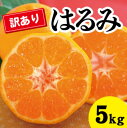 【ふるさと納税】【数量限定】≪訳アリ≫はるみ ＜約5kg＞ 家庭用 密柑 完熟 果物類 柑橘類 みかん フルーツ 糖度 甘い 濃厚 コク ジューシー 国産 広島三原産 産地直送 017051