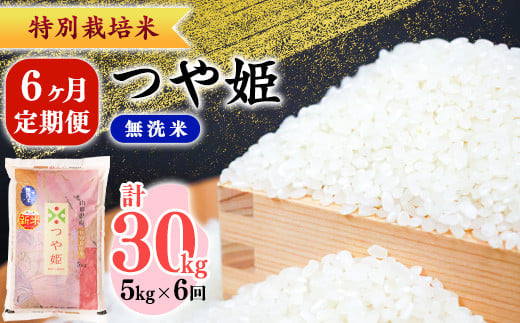 ＜2025年3月より毎月6回＞【令和6年産】6ヶ月定期便《 特別栽培米 》 無洗米 つや姫 合計30kg（5kg×6回） 山形県産　080-C-SR005-03前-08前