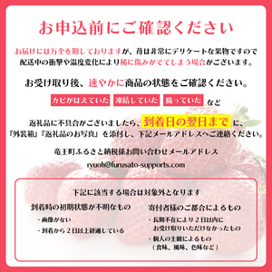 いちご みおしずく 1箱 計350g | イチゴ 苺