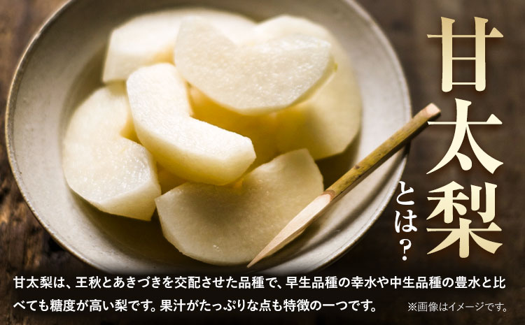 梨 甘太梨 和梨 なし フルーツ 果物 旬 秋 約3.5~ 4kg 長洲町産 竹下果樹園《9月上旬-9月下旬頃出荷》熊本県 長洲町 果物 なし かんた---sn_ctkknt_ab9_24_13000