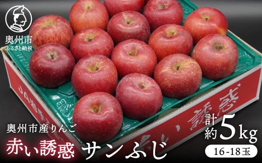 奥州市産りんご 赤い誘惑「サンふじ」 約5kg (16~18玉) 厳選 林檎 りんご サンフジ フルーツ 果物 期間限定 数量限定 自宅用 家庭用 贈答 ギフト [AQ077]