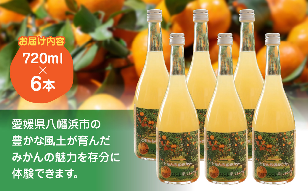 河内晩柑100%ジュース720ml×６【91-3】 ふるさと納税 オレンジ みかん  晩柑 河内晩柑 ジュース 産地直送 愛媛県 八幡浜市 送料無料 YWTB004