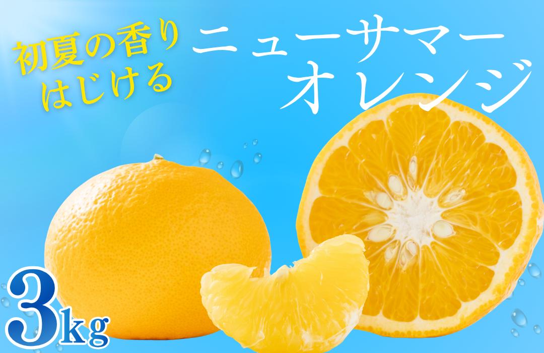 
            【先行予約＿2026年出荷分】湯の花 ニューサマーオレンジ 3kg【 ニューサマーオレンジ 日向夏 みかん 果物くだもの フルーツ 旬 柑橘 静岡 甘い 新鮮 伊豆 南伊豆 】　<BC-79>
          