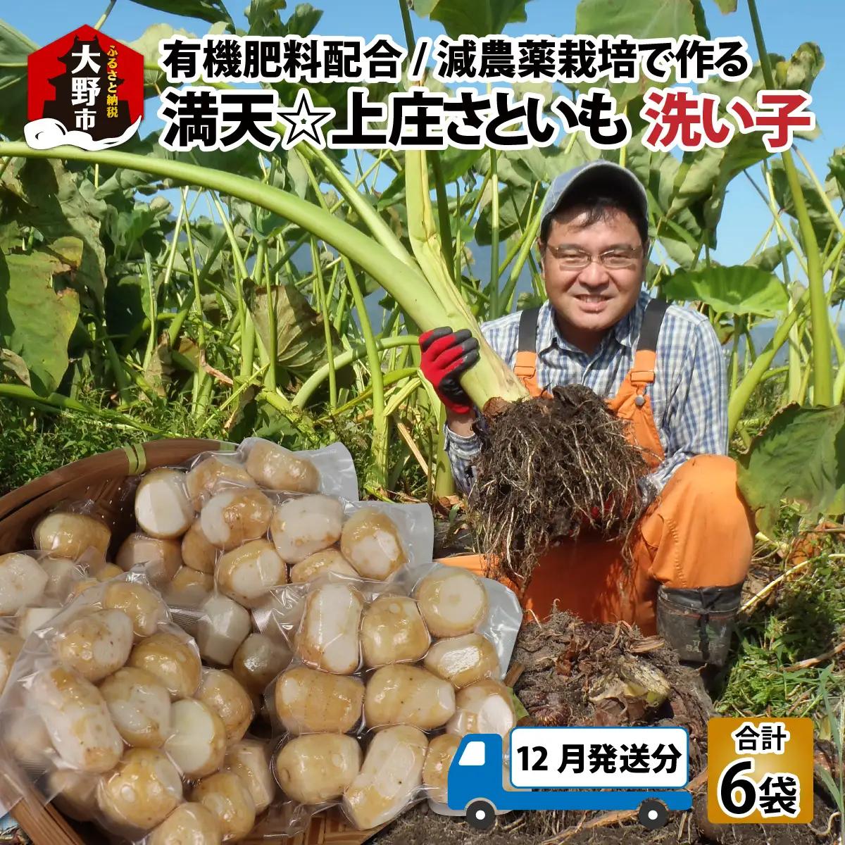 【先行予約】【12月発送分】上庄産さといもの「洗い子」計2.01kg  有機肥料配合　減農薬栽培[A-005006_02]
