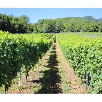 ふるさと納税 韮崎市 淡路結 シャルドネ&花菱 メルロー&カベルネ・ソーヴィニヨン　750ml×計2本セット |  | 01