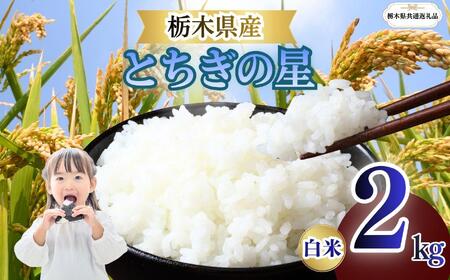栃木県産 とちぎの星 白米 2kg 2026年 先行予約 | 栃木県 矢板市