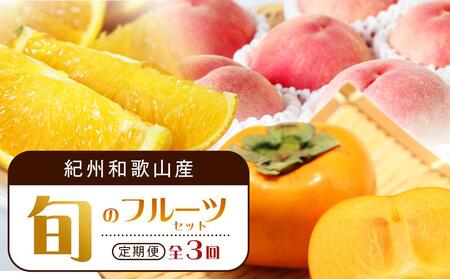 【7・8・10月 全3回】紀州和歌山産旬のフルーツセット（バレンシア・桃・ひらたねなし柿）【UT79】