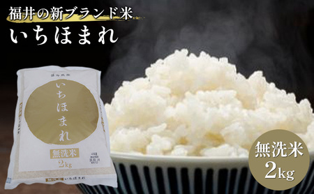 いちほまれ 無洗 2kg 令和8年産 福井の新ブランド いちほまれ