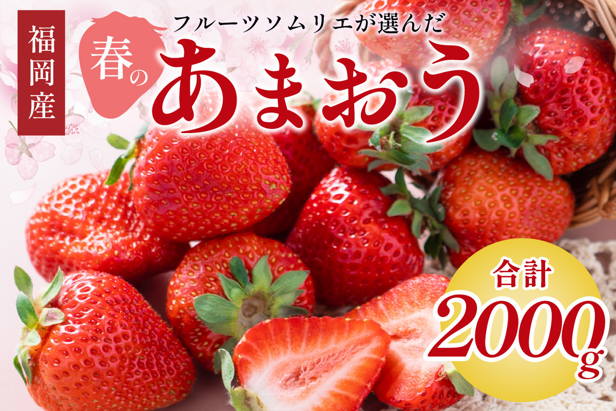 
                  フルーツソムリエが選んだ福岡産【春】あまおう8パック【011-0074】
                