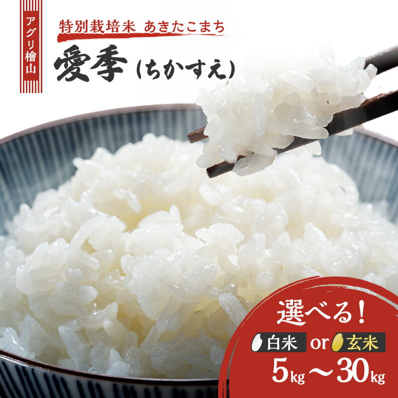 【ふるさと納税】あきたこまち 選べる 白米 玄米 容量 5kg 10kg 30kg アグリ檜山米 愛季 ちかすえ 特別栽培米 秋田県産 米　お届け：ご入金確認から2週間から1ヶ月程度でお届けします。