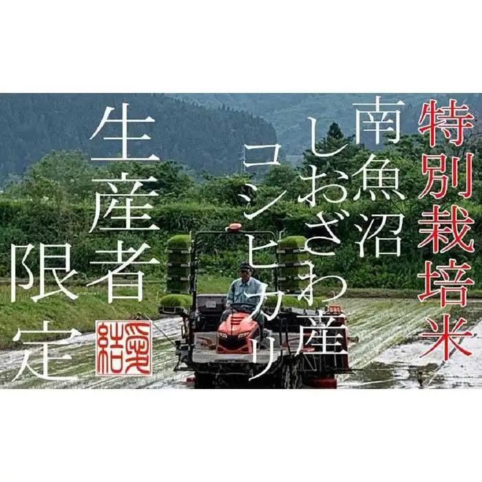 【令和7年産】【定期便10Kg×3ヶ月】【特別栽培米】 契約生産者限定  南魚沼しおざわ産コシヒカリ【定期便 銘柄米 ブランド米 精米 こしひかり コシヒカリ 魚沼産 新潟米 産地直送 お米 米 こめ