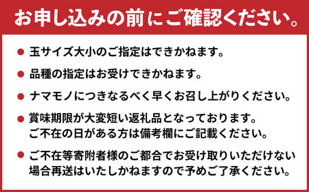 【8月上旬発送開始】 食べ頃品種を2種以上お届け! 梨 食べ比べセット 約5kg （5玉-18玉） / 梨 梨 梨 梨 梨 梨 梨 [AFAR027]