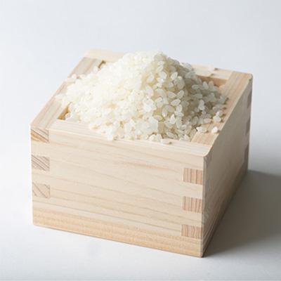 ふるさと納税 棚倉町 満点コシヒカリ　10kg(5kg×2) |  | 01